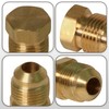 Everflow 1/4" Flare Plug Pipe Fitting; Brass F39-14